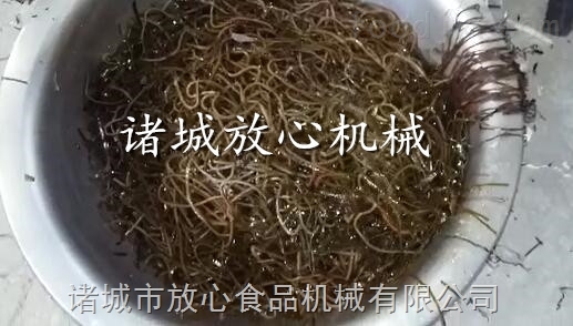 海带切丝机 鲜海带切丝机