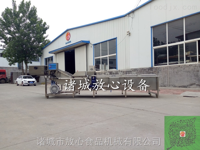 小型果蔬净菜加工设备 果蔬清洗设备放心机械