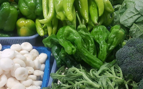 答复：关于加快推进农业绿色发展先行区建设的提案