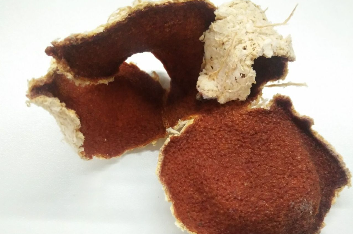 從嚴(yán)從快！江門開展新會陳皮專項(xiàng)整治行動