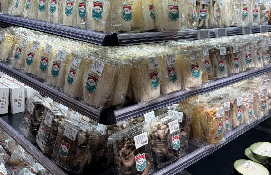 烘干機(jī)、包裝機(jī)助力羊肚菌產(chǎn)業(yè)高質(zhì)量發(fā)展