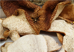 江门市市场监管局组织召开新会陈皮“双标”工作推进会