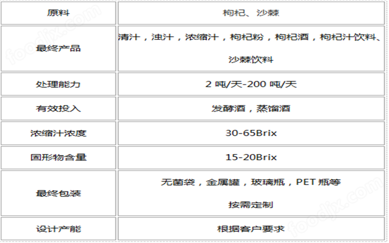沙棘果汁生产线