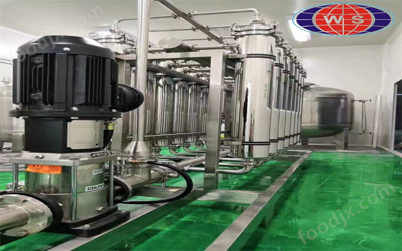 沙棘果汁生产线