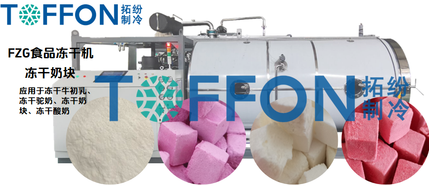 冷凍干燥機凍干風味牦牛奶塊