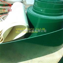 上海綠色PVC輸送帶廠家 不銹鋼擋邊輸送帶
