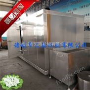 商用食品速凍機(jī)|蔬菜速凍機(jī)|*|凍蔬菜的設(shè)備|匯海機(jī)械 凍蔬菜的設(shè)備