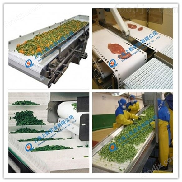 塑料網(wǎng)帶輸送機(jī) 提升網(wǎng)帶輸送機(jī)