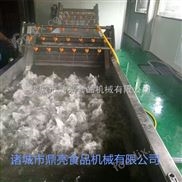 山東鼎亮果蔬清洗流水線設(shè)備 芹菜清洗機(jī)
