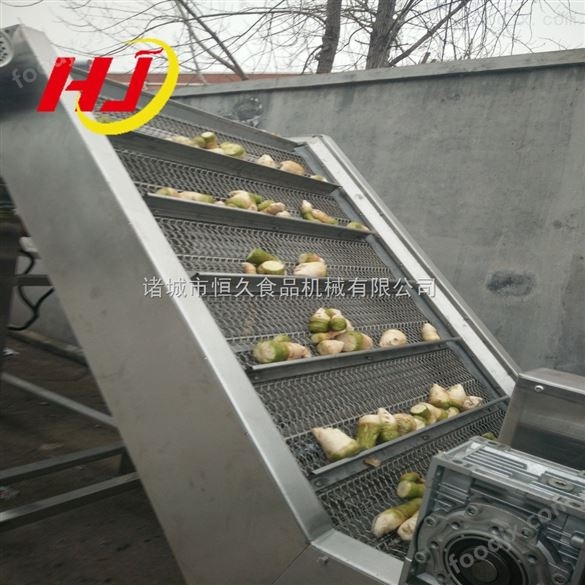 青檸檬清洗機 水果清洗機 檸檬清洗機價格